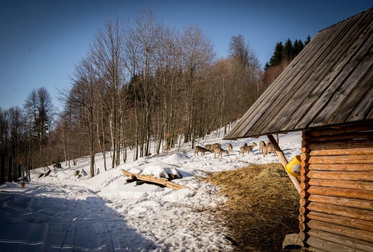 Apartamenty Romanowka Raszow Bagian luar foto